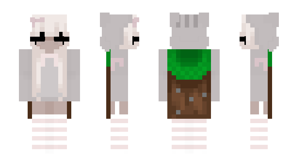 Minecraft skin eirbeeh