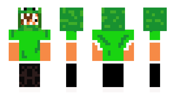 Minecraft skin soVli