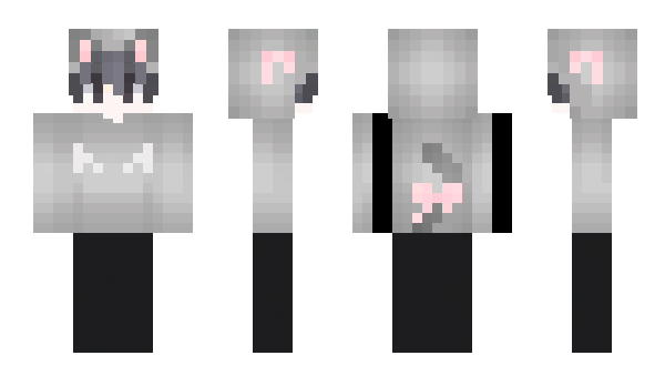 Minecraft skin assain