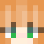 Minecraft skin Cooik