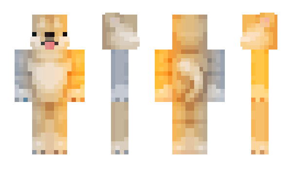 Minecraft skin S6G