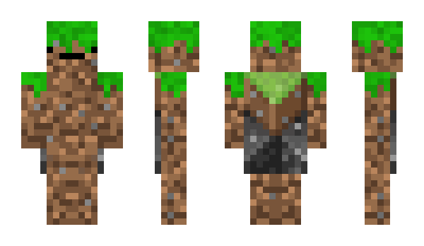 Minecraft skin Qebin