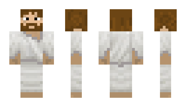 Minecraft skin PirateLife