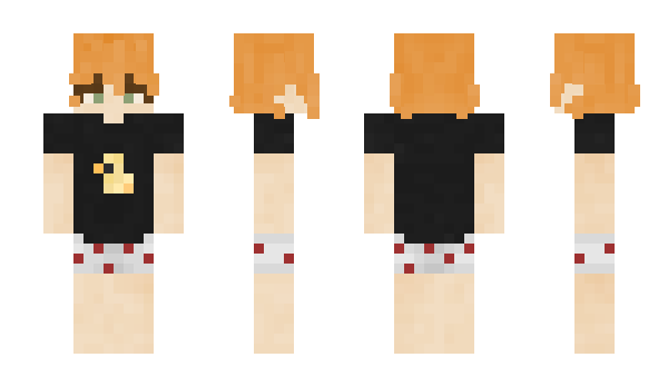 Minecraft skin UnixUser_