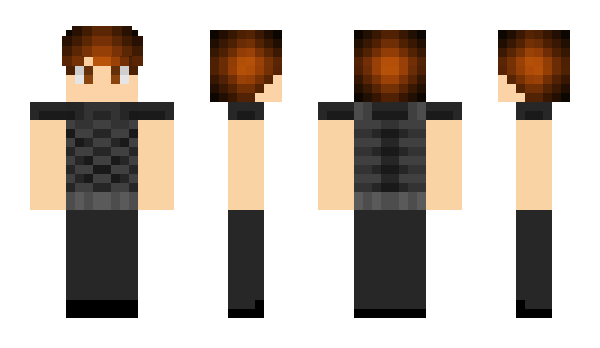 Minecraft skin Aranes