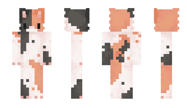 Minecraft skin KoTelKa