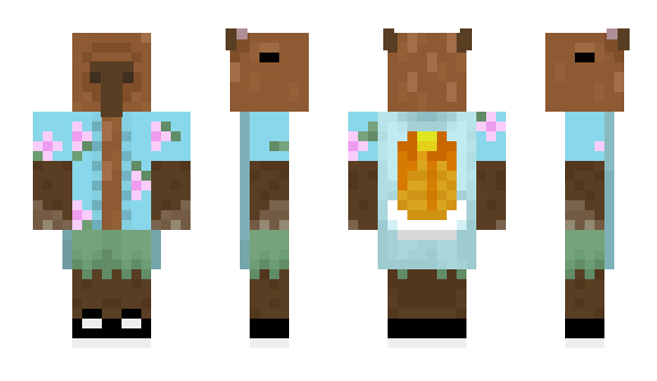 Minecraft скін по ніку DKR_Capy