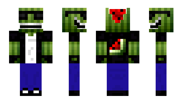 Minecraft skin DuckPickle