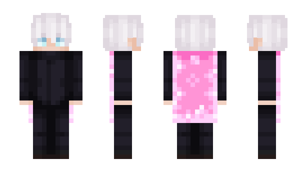 Minecraft skin zeniti_maizen