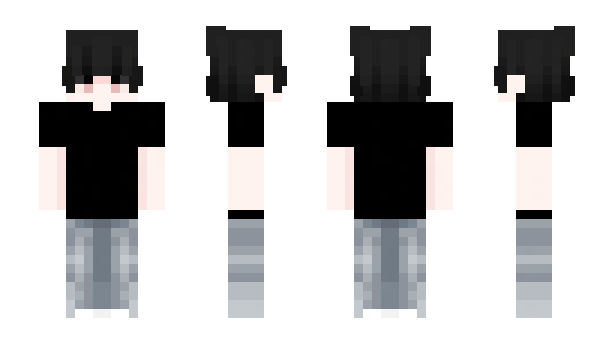 Minecraft skin Pochec