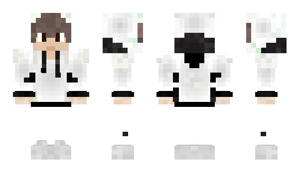 Minecraft skin Hanssmc