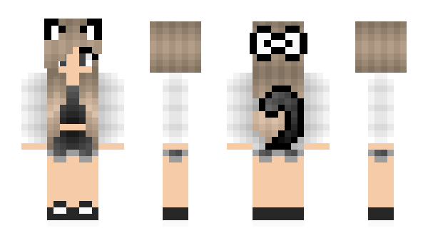 Minecraft skin FLY1NGBADGER