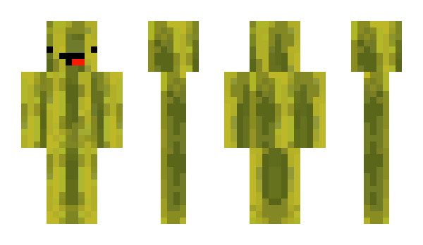 Minecraft скин по нику BahamaPapa_
