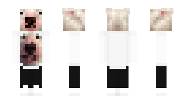 Minecraft skin RadAgentLego303