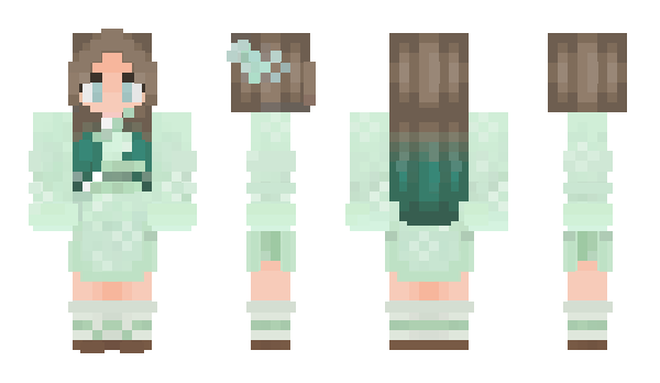 Minecraft skin Delvs