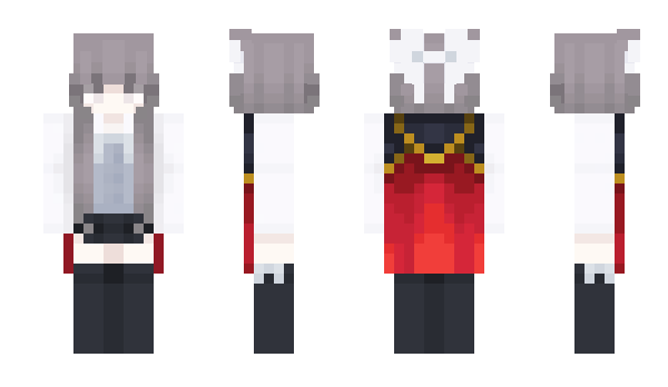 Minecraft skin TN4