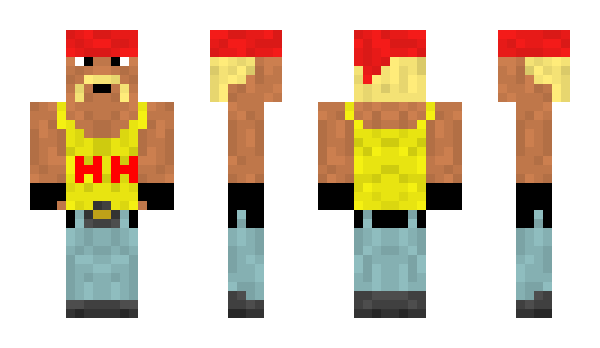 Minecraft skin N3verDuck1