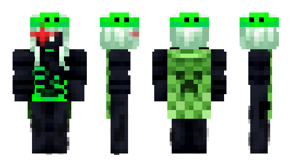 Minecraft skin D002