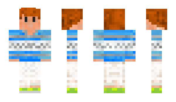 Minecraft skin vNARF