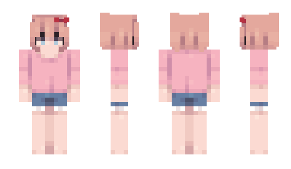 Minecraft skin featherdroid
