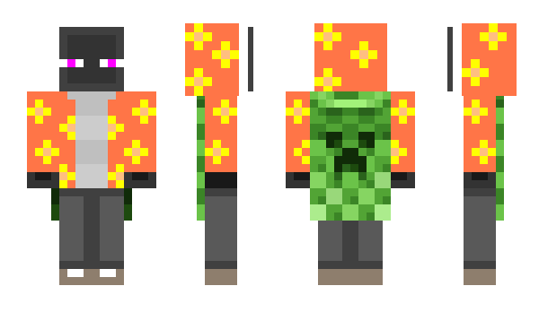 Minecraft skin SageFire20