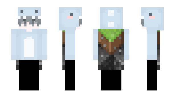Minecraft skin cg0