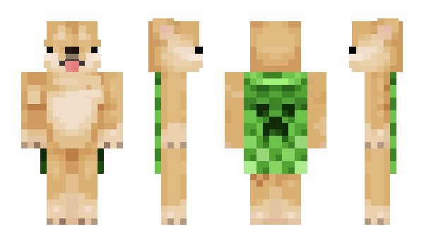 Minecraft skin WoozeS
