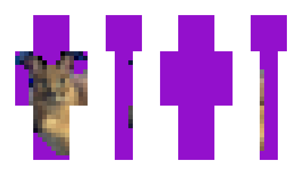 Minecraft skin Tengun