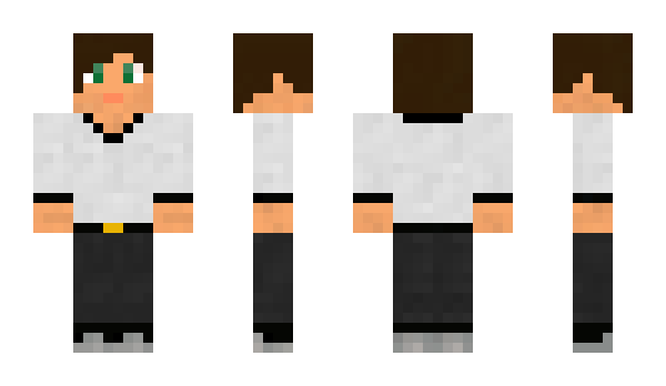 Minecraft skin FreeLifePL