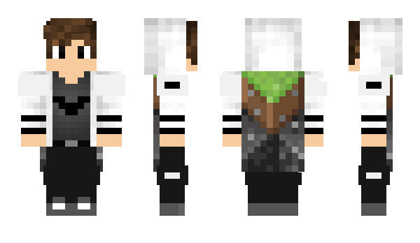 Minecraft skin Vagkouts