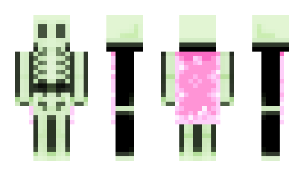 Minecraft skin steliee