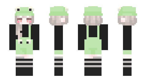 Minecraft skin _fronii