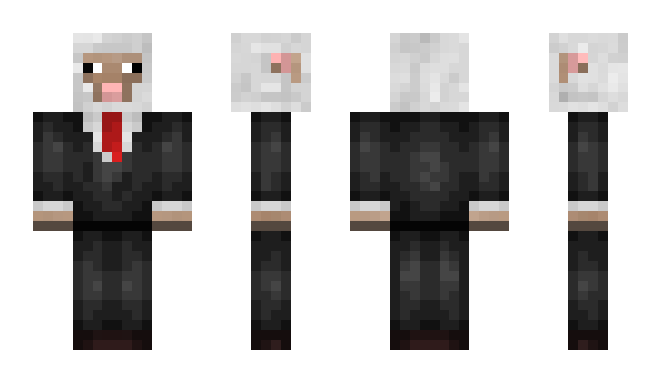 Minecraft skin Metamario