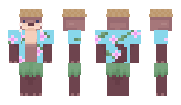 Minecraft skin Porchi