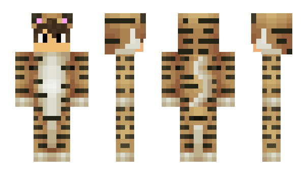 Minecraft skin nicolux35