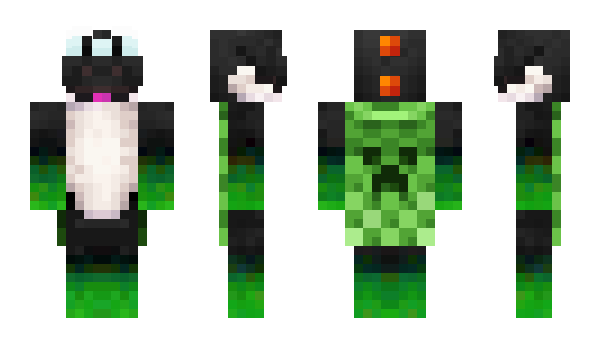 Minecraft skin cedrjc