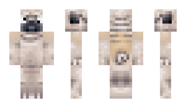 Minecraft skin Lew