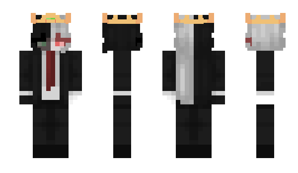 Minecraft skin sapnapity