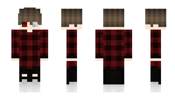 Minecraft skin ficka