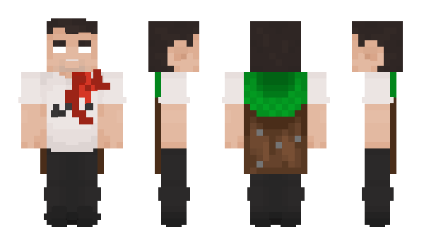 Minecraft skin salod