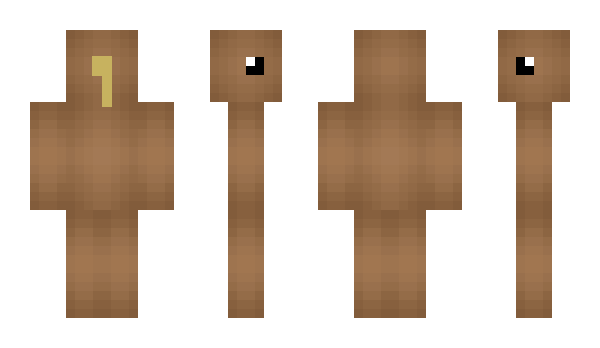 Minecraft skin KiwiX2