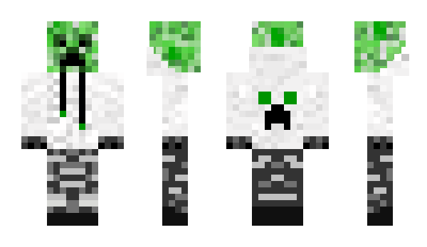 Minecraft skin plbo