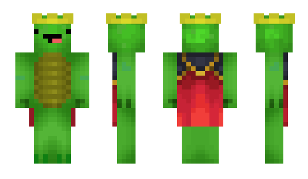 Minecraft skin Turtle_Dave