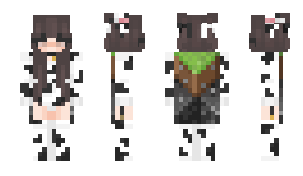 Minecraft skin sl53
