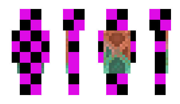 Minecraft skin cnqe
