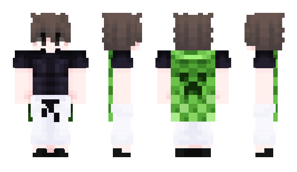 Minecraft skin iDOLLARR