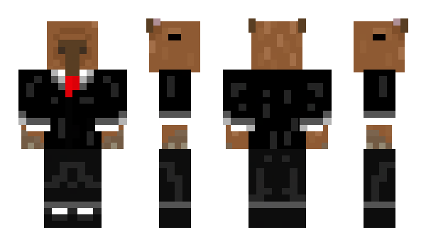 Minecraft skin DrOzX