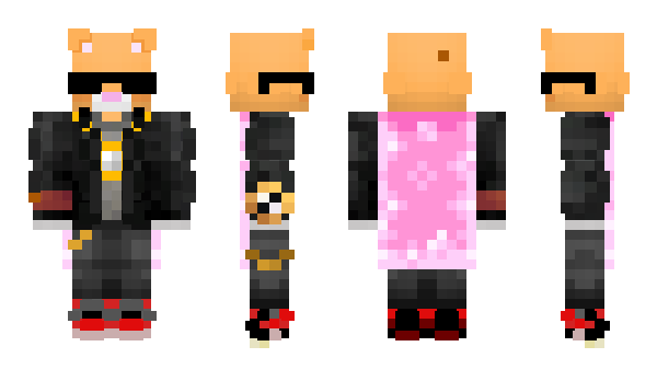 Minecraft skin K1ngCat