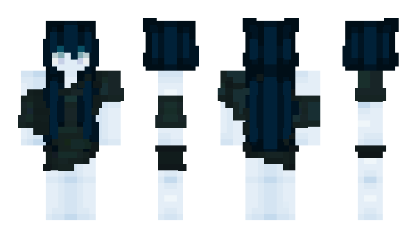 Minecraft skin PIEEVE