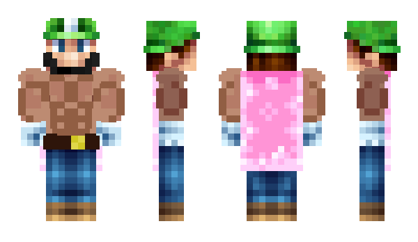 Minecraft skin alix_d